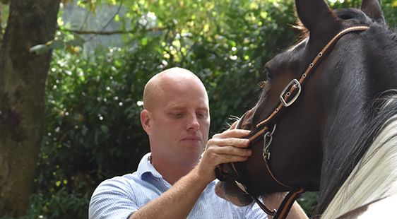 Dierenkliniek de Vijfsprong helpt sportpaarden in topconditie te houden. 