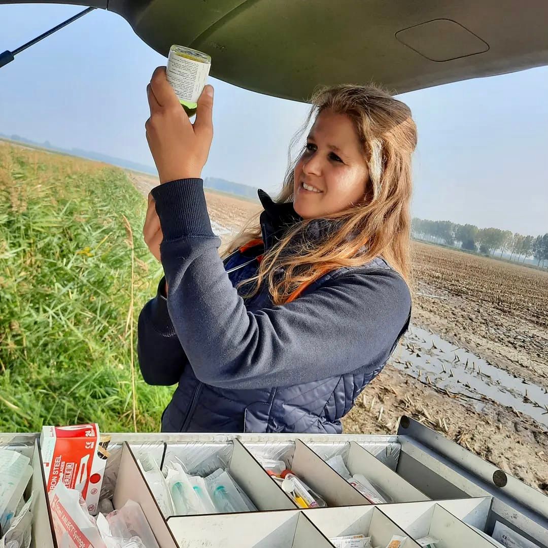 Ontmoet de medewerkers van onze dierenkliniek voor paarden en gezelschapsdieren.