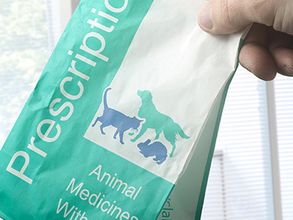 Bestel medicijnen bij Dierenkliniek de Vijfsprong.